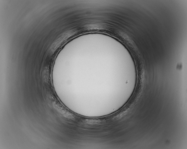 X0000111660825200908071431