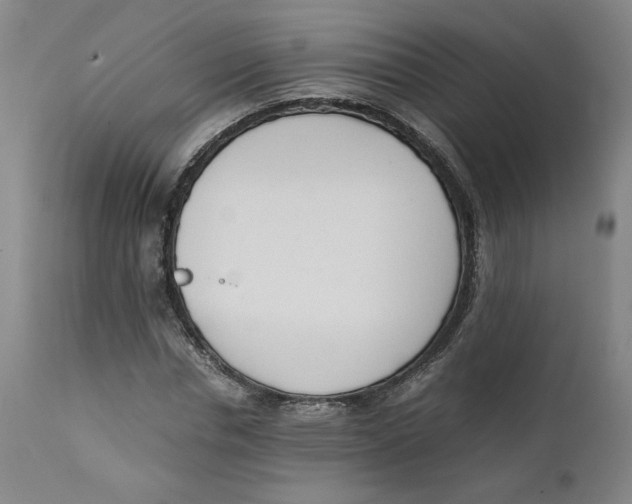 X0000111660826200908071431