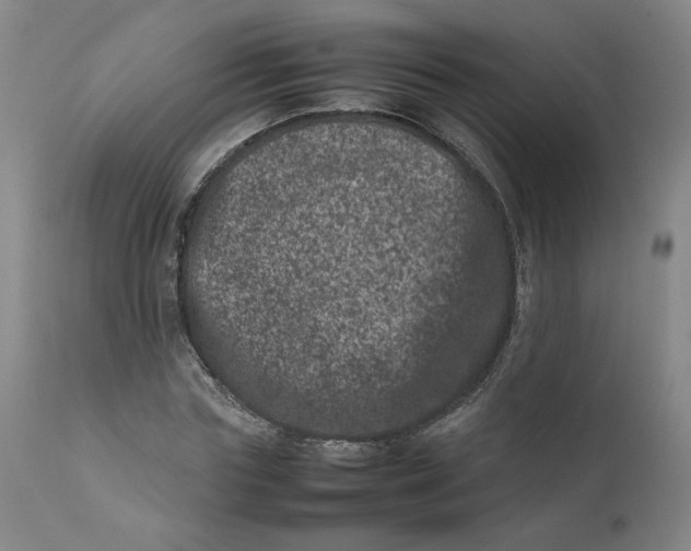 X0000111660827200908071431