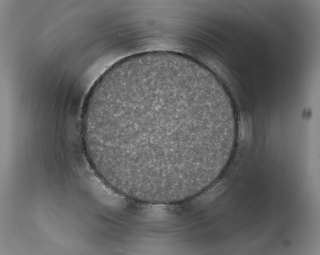 X0000111660828200908071431