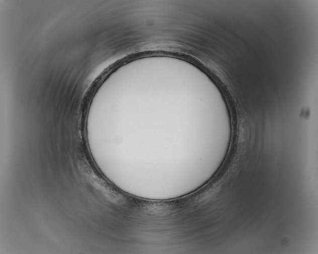 X0000111660830200908071431