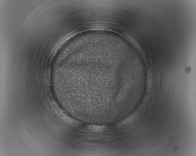 X0000111660831200908071431