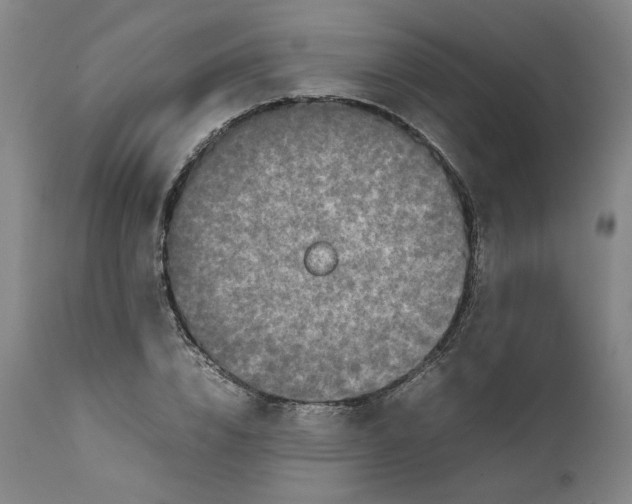 X0000111660832200908071431