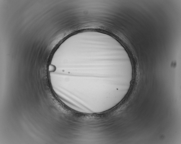 X0000111660834200908071431