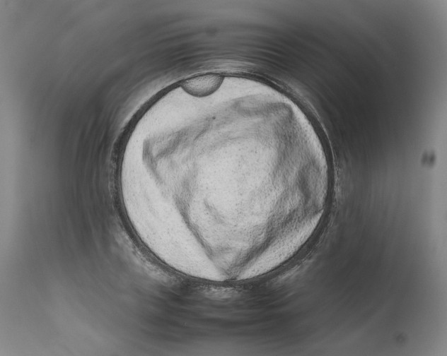 X0000111660835200908071431