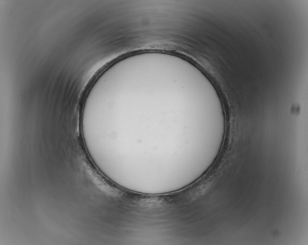 X0000111660838200908071431