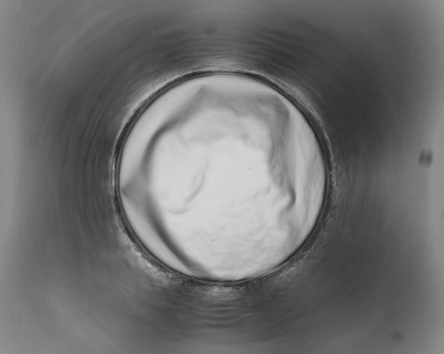 X0000111660839200908071431