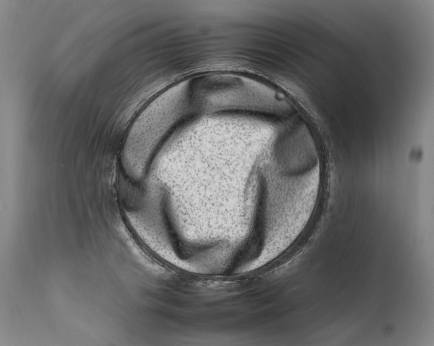 X0000111660841200908071431