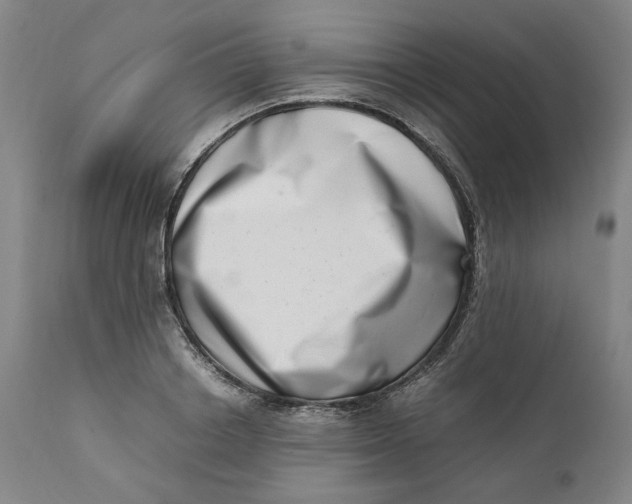 X0000111660842200908071431