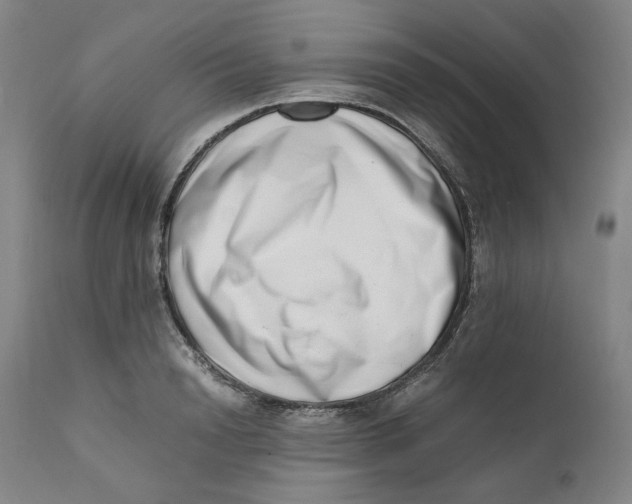 X0000111660846200908071431