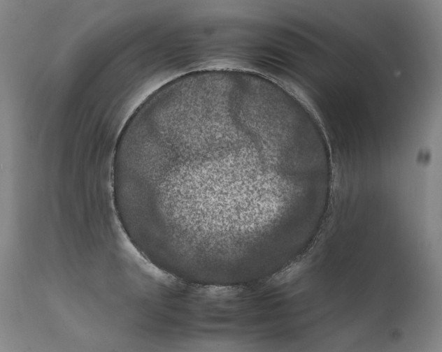 X0000111660847200908071431