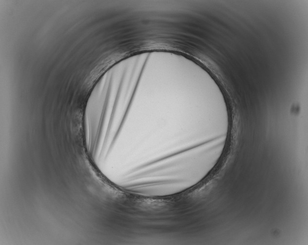 X0000111660849200908071431