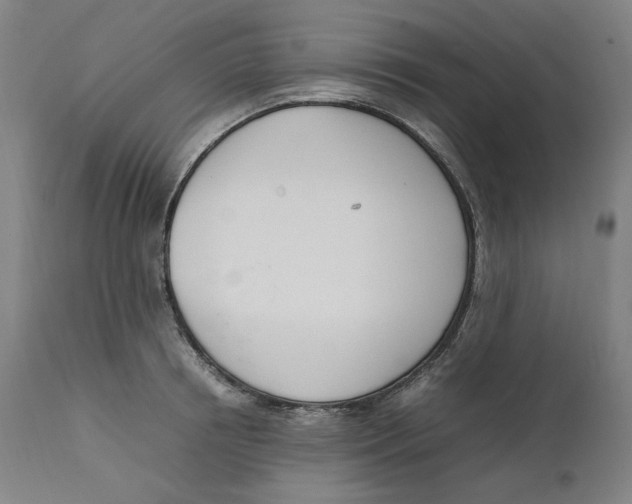 X0000111660850200908071431