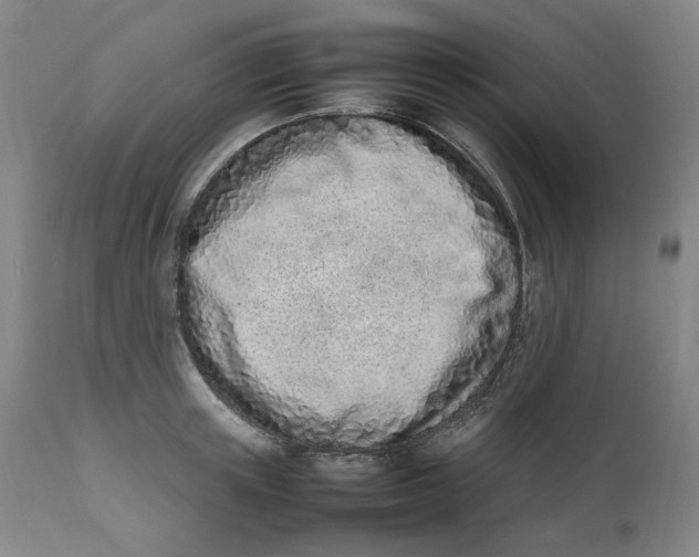 X0000111660851200908071431