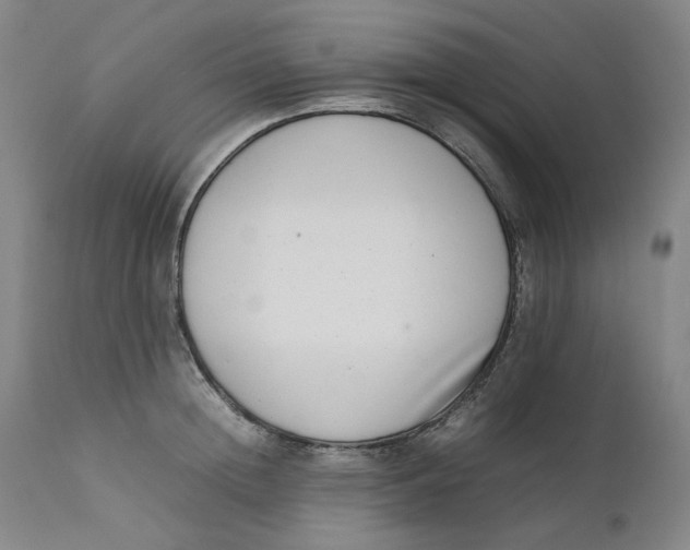 X0000111660852200908071431