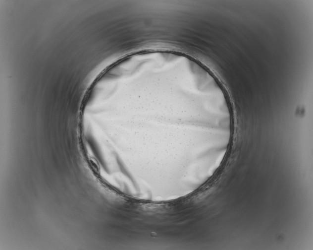 X0000111660853200908071431