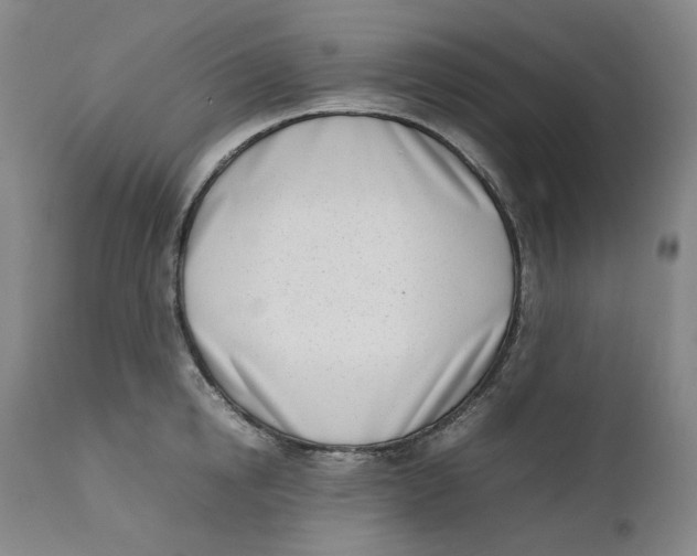 X0000111660854200908071431