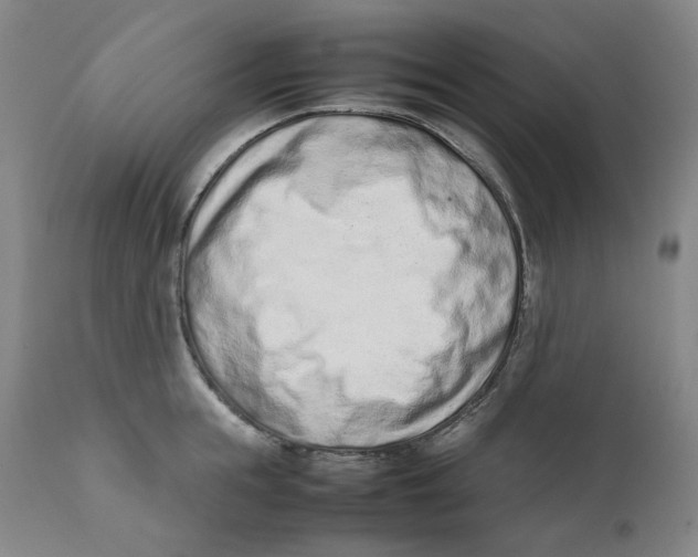 X0000111660855200908071431