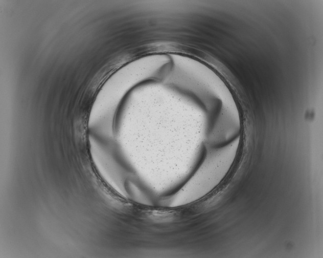 X0000111660857200908071431