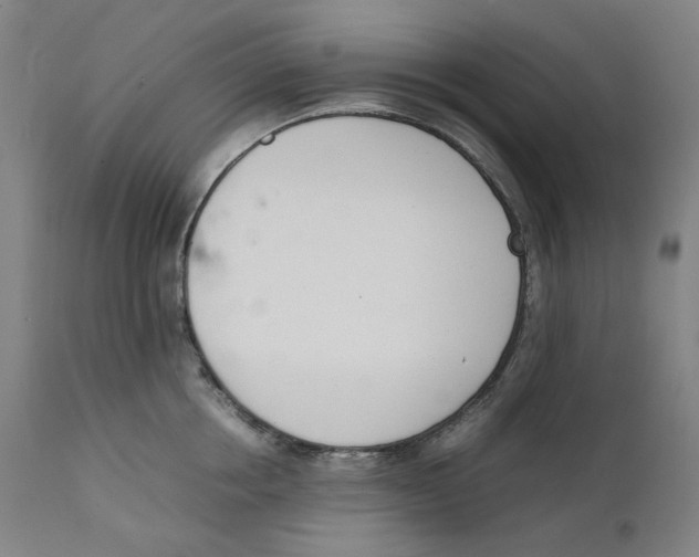 X0000111660858200908071431