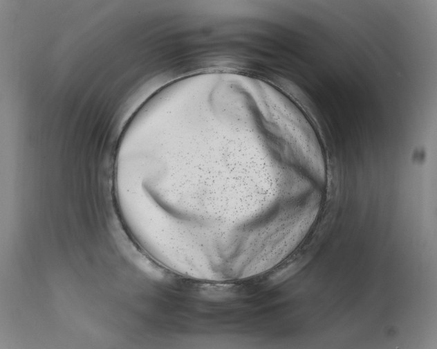 X0000111660859200908071431