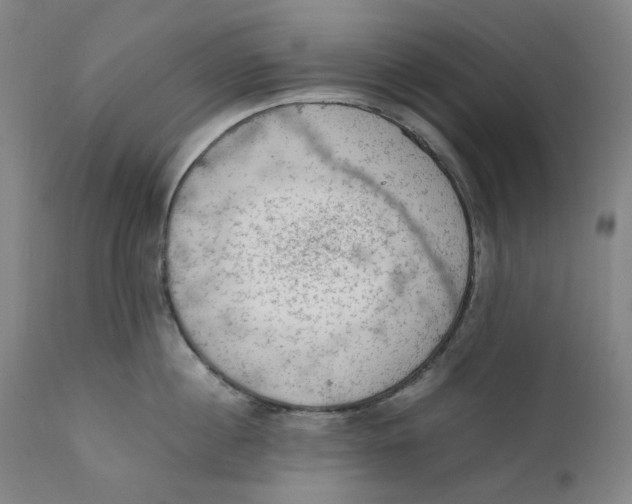 X0000111660860200908071431