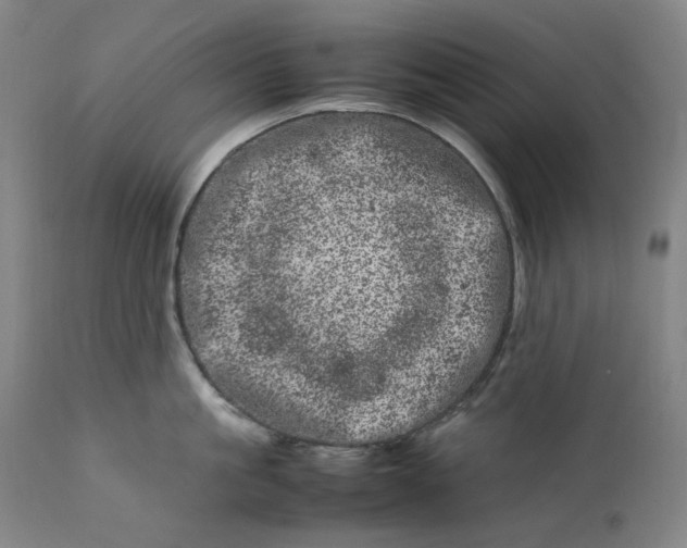 X0000111660861200908071431