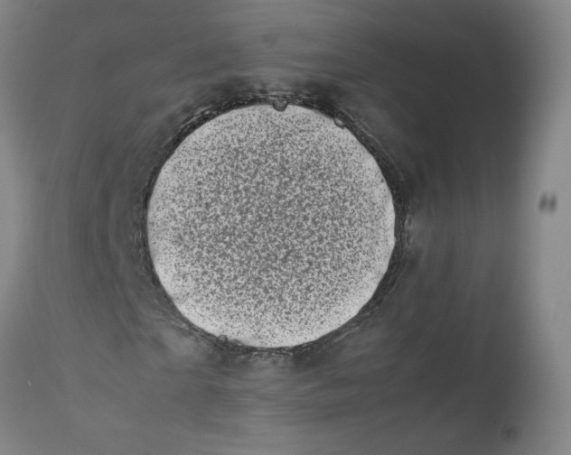 X0000111660865200908071431