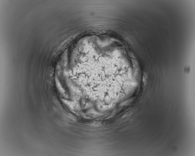 X0000111660867200908071431