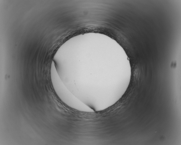 X0000111660868200908071431