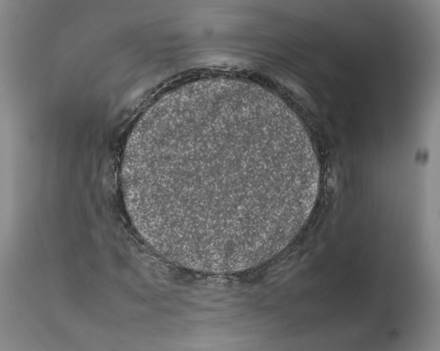 X0000111660869200908071431