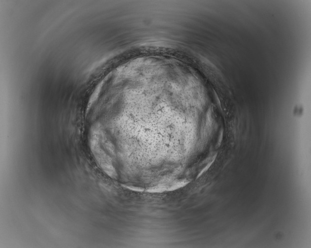 X0000111660870200908071431