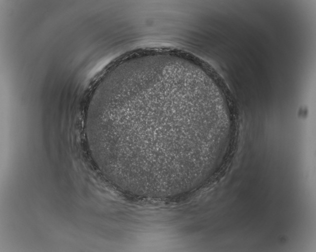 X0000111660871200908071431