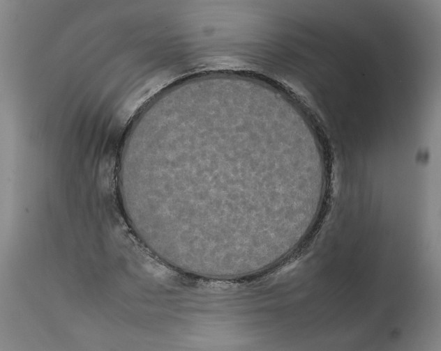 X0000111660873200908071431