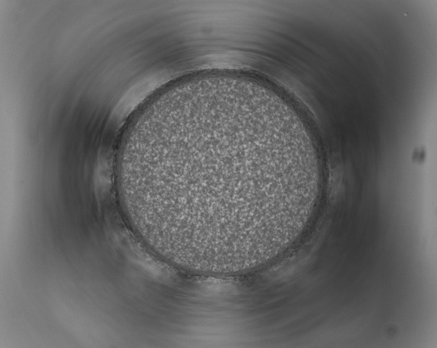 X0000111660874200908071431