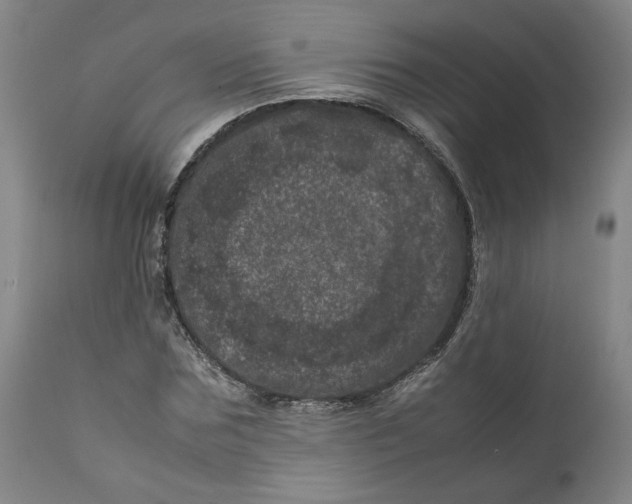 X0000111660875200908071431