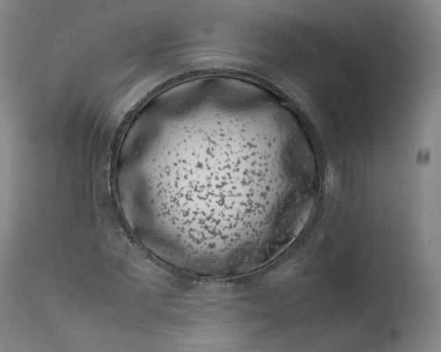 X0000111660877200908071430