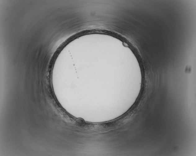 X0000111660879200908071430