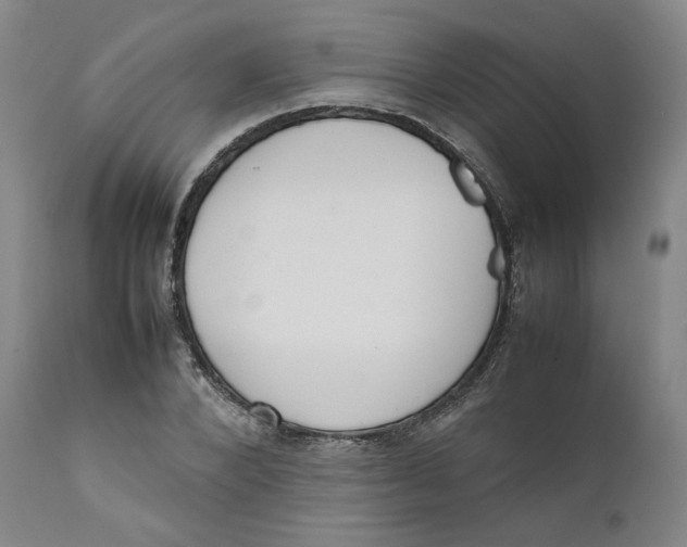 X0000111660880200908071430