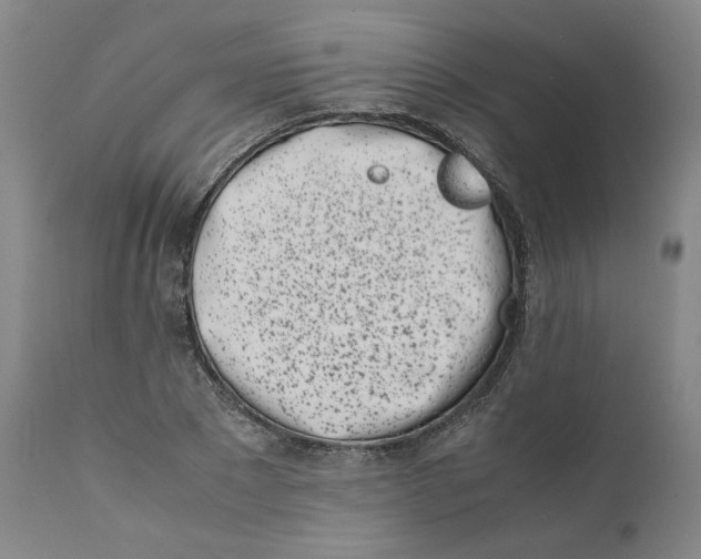 X0000111660881200908071430