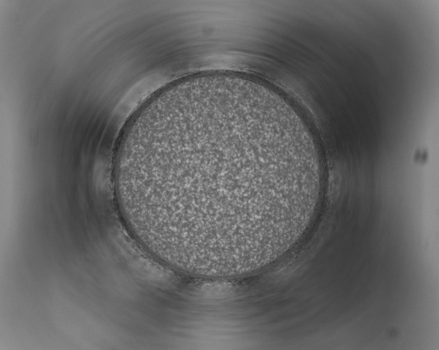 X0000111660882200908071430