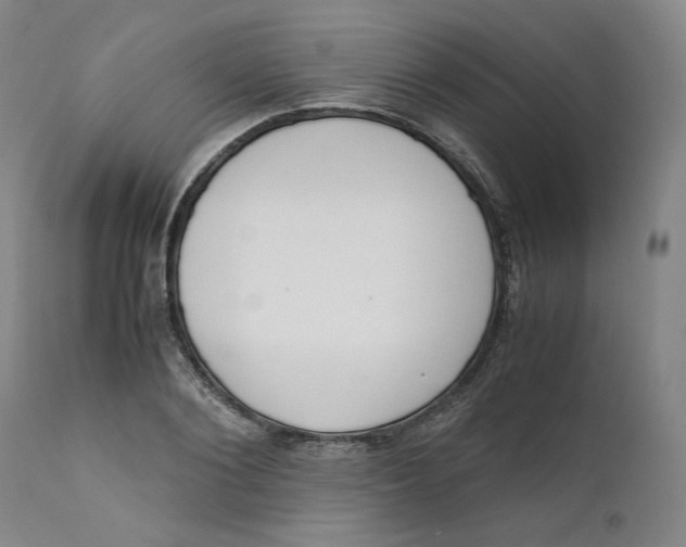 X0000111660884200908071430