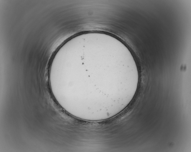 X0000111660885200908071430