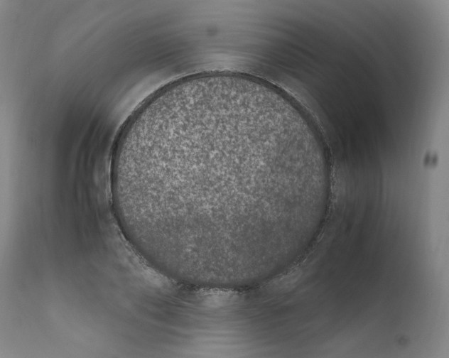 X0000111660886200908071430