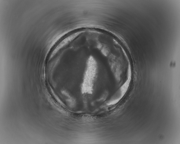 X0000111660887200908071430