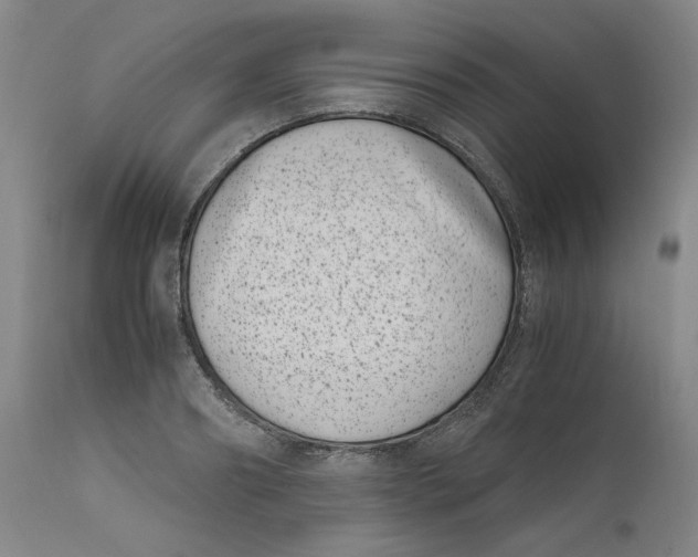 X0000111660890200908071430