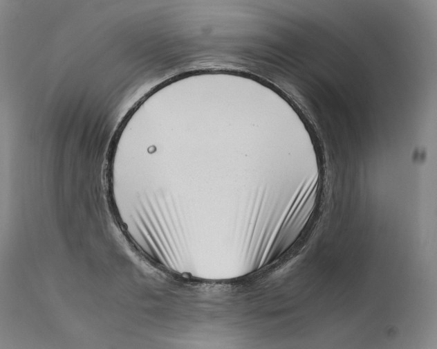 X0000111660893200908071430