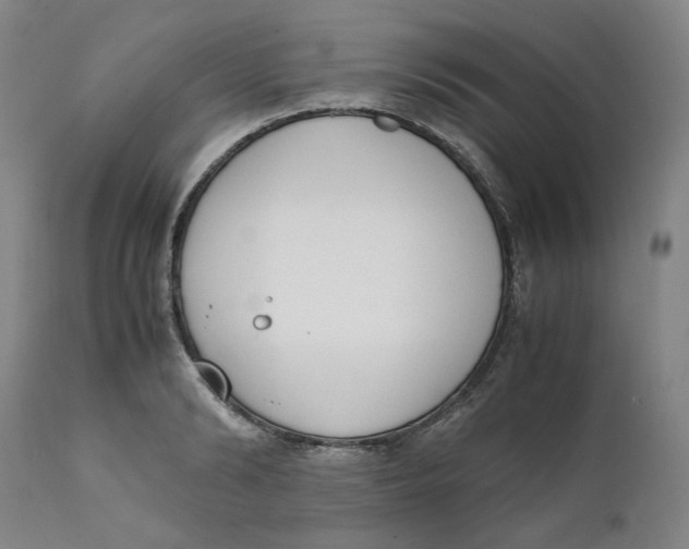 X0000111660894200908071430