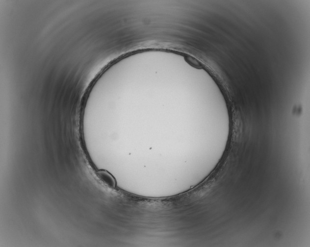 X0000111660896200908071430