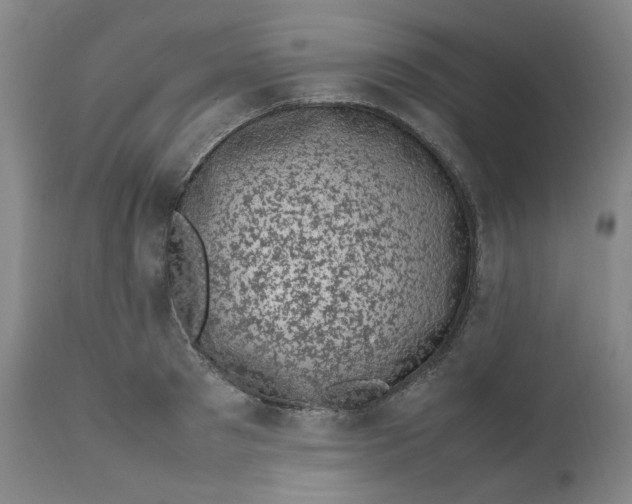 X0000111660897200908071430